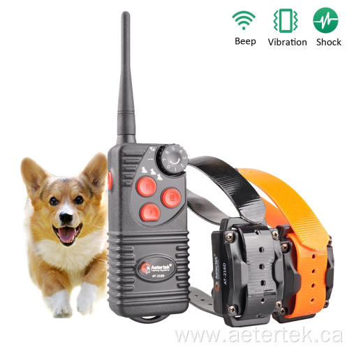 Aetertek AT-216D-2 remote dog trainer